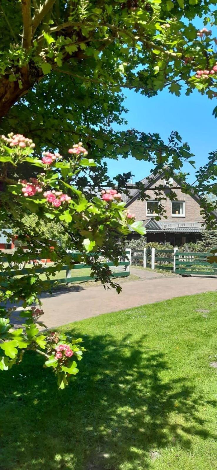Little Farm House, 25164